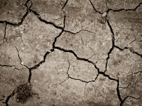 Cracked earth Stock Photos