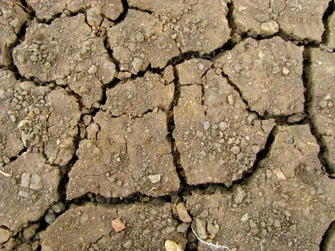 Cracked Earth Stock Photos