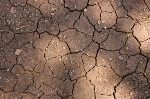 Cracked earth Stock Photos