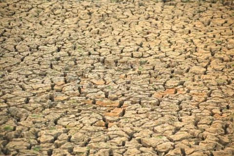 Cracked earth Foto stock