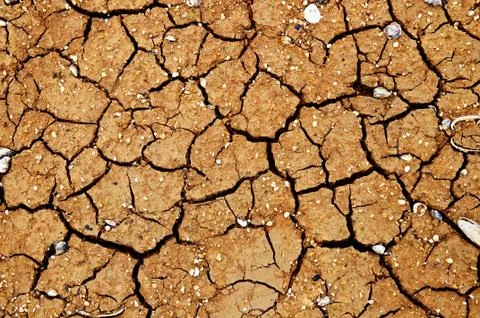 Cracked earth. Stock Photos