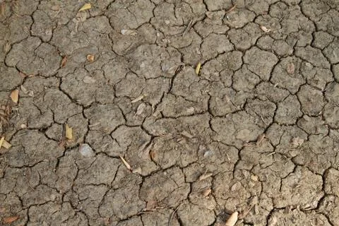 Cracked earth Stock Photos