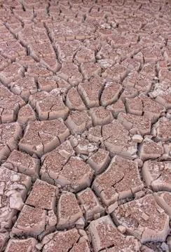 Cracked earth Stock-Fotos