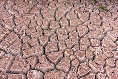 Cracked earth Stock-Fotos