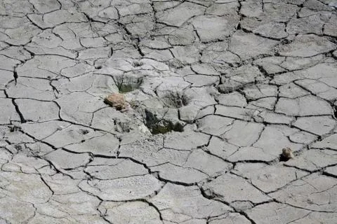 Cracked Earth Stock Photos