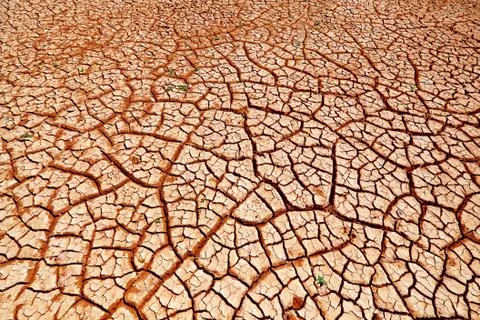 Cracked Earth Stock Photos