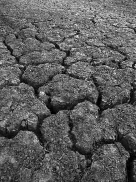 CRACKED EARTH Stock Photos