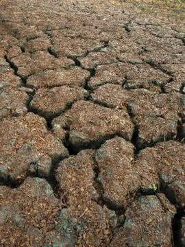 CRACKED EARTH Stock Photos