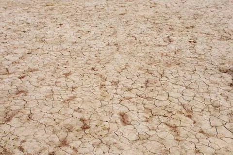 Cracked earth Stock Photos