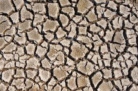 Cracked Earth Stock Photos