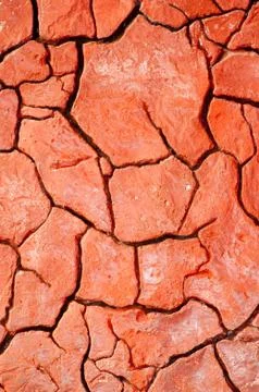 Cracked Earth Foto stock