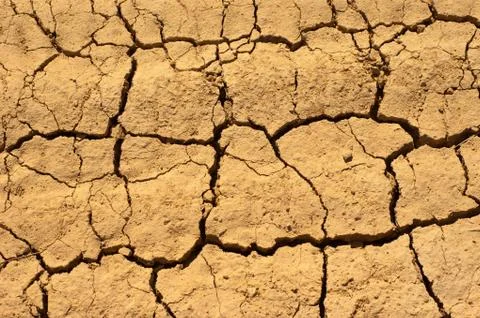 Cracked earth Stock Photos