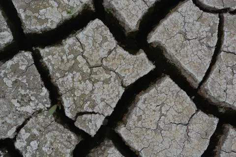 Cracked Earth Foto stock