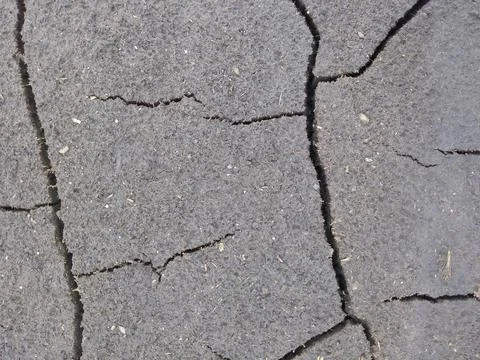 Cracked earth Stock Photos
