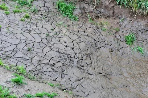 Cracked Earth. Stock Photos