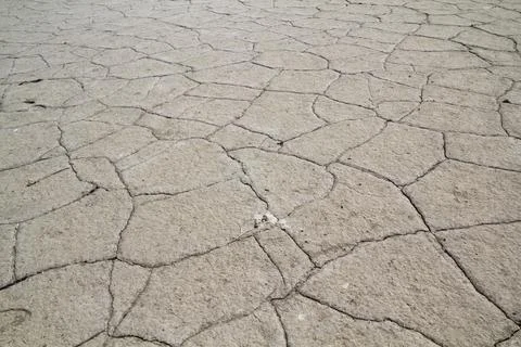 Cracked earth Photos