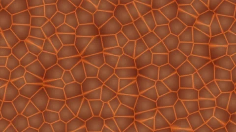 Cracked Earth Surface with Blue Line Pattern. Stock Footage 329484173