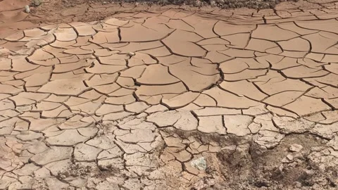 Cracked Earth Surface During Extreme Seasonal Drought Stock Footage 331331422