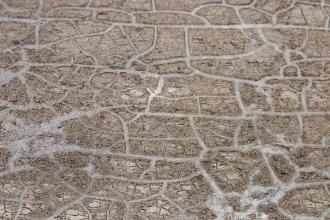 Cracked earth surface under bright sunlight showcases drought conditions in a Stock Photos