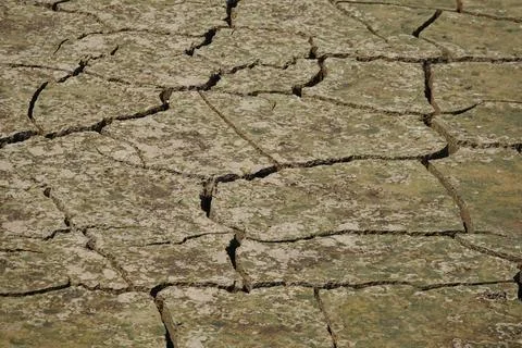 Cracked earth texture in dry background Foto stock
