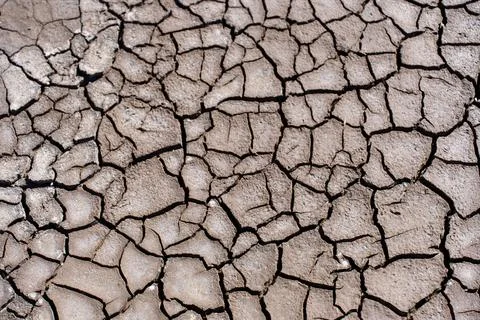 Cracked Earth Texture Pattern and Parched Dry Ground Background Stock Photos