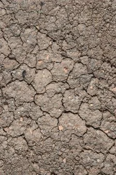 Cracked earth texture Stock Photos