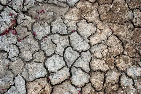 Cracked earth texture Stock Photos