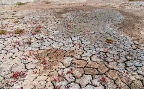 Cracked earth texture Stock Photos