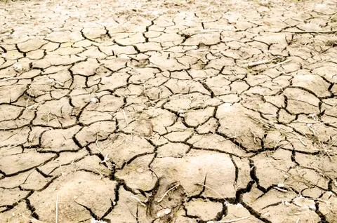 Cracked earth texture Stock Photos