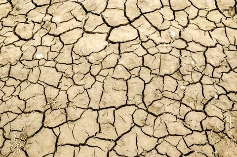 Cracked earth texture Stock Photos