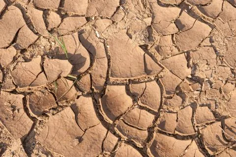 Cracked earth texture Stock-Fotos