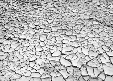 Cracked earth texture Foto stock