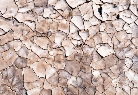 Cracked earth texture Stock Photos