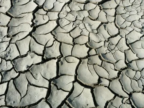 Cracked earth texture Foto stock
