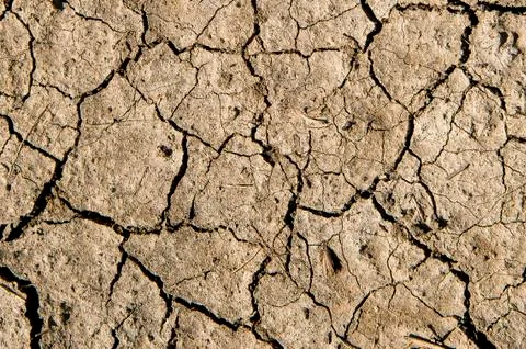 Cracked earth texture. Foto stock
