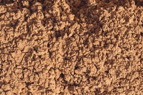 Cracked earth texture Stock Photos