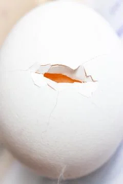 Cracked egg close up. White eggshell with yellow yolk Stock Photos