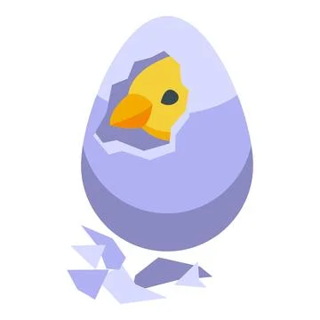 Cracked egg icon isometric vector. Chicken bird Stock Illustration