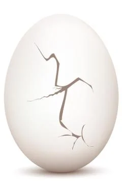 Cracked egg Stock Illustration