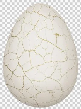Cracked egg Stock Illustration