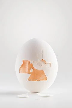Cracked egg with pieces of shell on a white background from copies of space. Foto stock