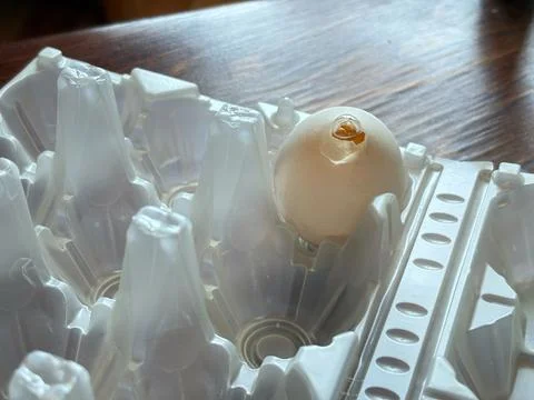 Cracked egg in plastic wrapping on table, close-up of damaged shell and contents Stock Photos