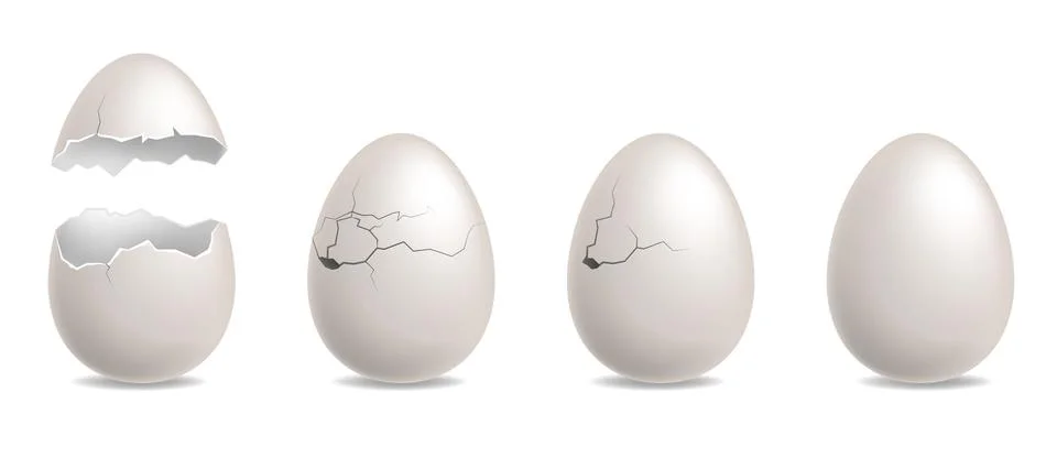 Cracked egg. Realistic chicken while eggshells. Hatching sequence steps row Stock Illustration