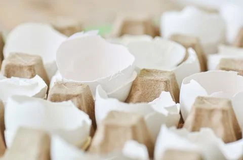 Cracked egg shells in a carton container. Close up. Stock Photos