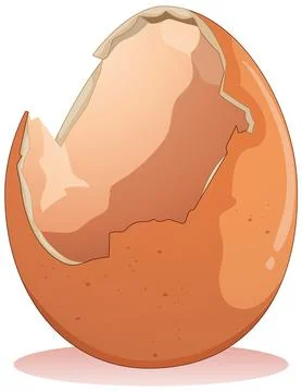 Cracked Egg on White Background Stock Illustration