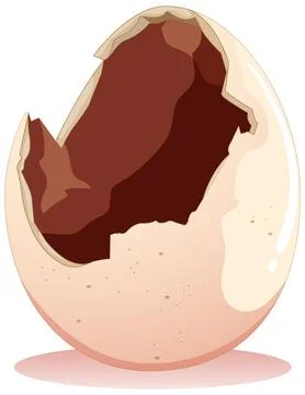 Cracked Egg on White Background Stock Illustration