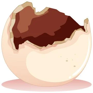 Cracked Egg on White Background Stock Illustration