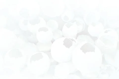 Cracked eggs pattern as white gray background. Top view, flat lay, selective Stock Photos