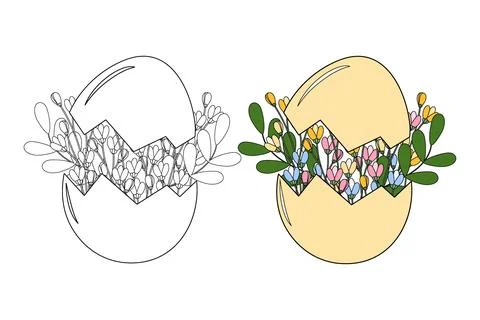 Cracked Eggshell with floral composition Outline and color Minimalist Flat Stock Illustration