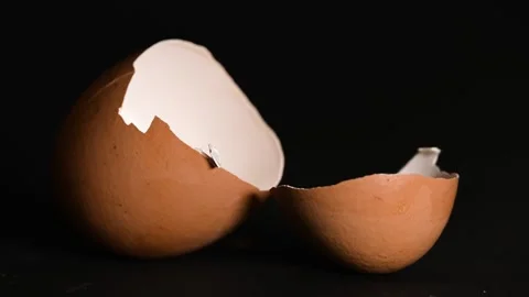 A cracked eggshell Stock Footage 322031446